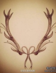 一张小清新的鹿角纹身图案