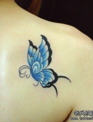 小清新背部个性蝴蝶纹身图案