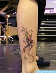 女性腿部彩色蝴蝶纹身图案