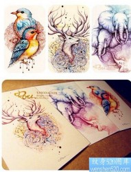 一款彩色纹身手稿图案