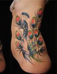 一款女性侧腰彩色孔雀纹身图案
