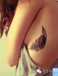 一款女性侧腰羽毛纹身图案