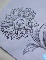 一款向日葵纹身手稿图案