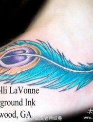 一款彩色孔雀羽毛纹身图案