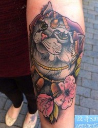 一款女性手臂猫咪纹身图案