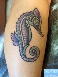 腿部海马纹身图案由最好的纹身提供