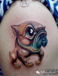 一组tattoo十二生肖の狗纹身图案由纹身提供