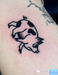 一组tattoo十二生肖の猪纹身图案由纹身提供