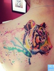 一组tattoo十二生肖の老虎纹身图案由纹身提供