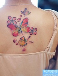 女性背部水彩蝴蝶樱花纹身图案