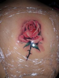 背部纹身：一支玫瑰纹身图