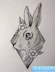 素描兔子纹身图案