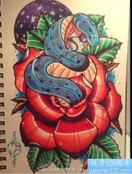 彩色欧美牡丹蛇纹身图案