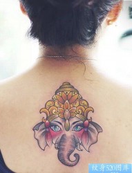 女性背部小象神纹身图案
