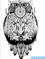 一款黑灰猫头鹰纹身手稿图案