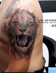 一款手臂狮子纹身图案