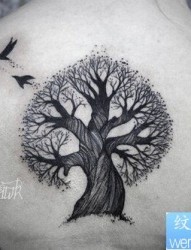 一款女性背部树纹身图案