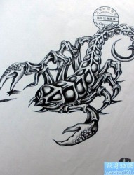 一组黑灰风格的蝎子纹身图案
