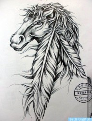 一款马羽毛线稿纹身图案