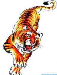 一款彩色老虎纹身图案