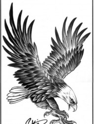 一款老鹰纹身手稿图案