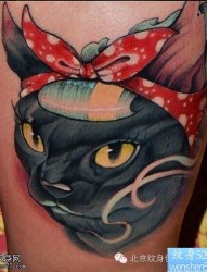腿部彩色蝴蝶结猫咪纹身图案