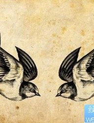 一款燕子纹身手稿图案