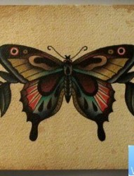 一款逼真的蝴蝶纹身手稿图案