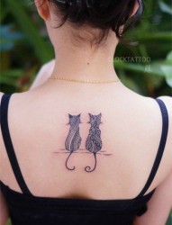一款女性背部个性猫咪刺青图片