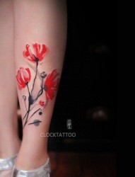 女性腿部彩色罂粟花刺青图片