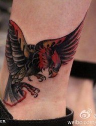 一款脚踝彩色老鹰纹身图片