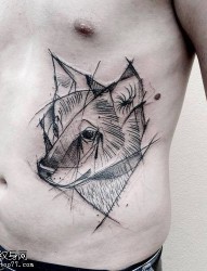 腹部线条狼头纹身图片