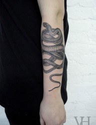 小臂上一款时尚的蛇纹身