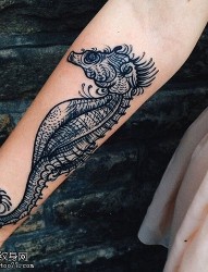 一款手臂海马纹身图片