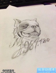 一款狗狗纹身图案