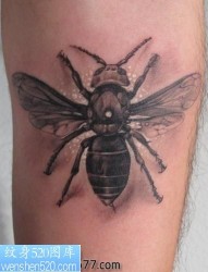一款可爱的蜜蜂纹身图案