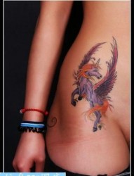 美女腹部彩色独角兽翅膀纹身图案纹身图片