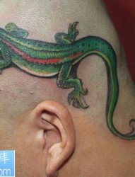 头部一款彩色蜥蜴纹身图案
