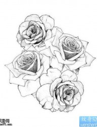 一款玫瑰花纹身手稿图案