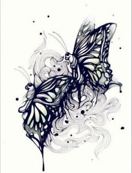 最好的纹身馆提供一款蝴蝶纹身手稿图案