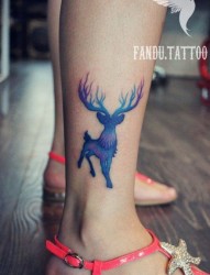 女性脚踝星空鹿纹身图片