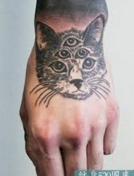 手背多眼猫刺青纹身