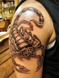 纹身艺术爱好者喜欢的蝎子纹身