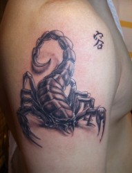 大臂上时尚的蝎子纹身