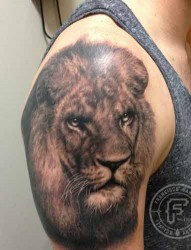 真正的王者不需要蝼蚁的朝拜——狮子纹身