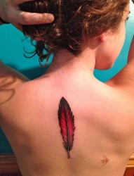 女性背部个性漂亮的羽毛纹身