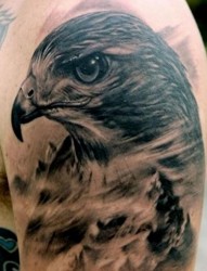 好看帅气的手臂老鹰头像纹身