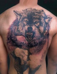 背部炫酷的狼纹身