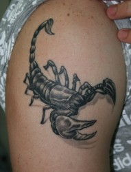 一款能给你个性加分的蝎子纹身