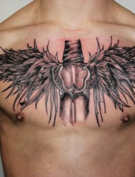 胸部个性的翅膀纹身